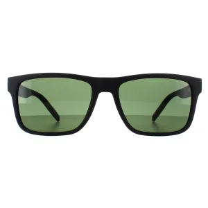 Arnette AN4298 Bandra Sunglasses