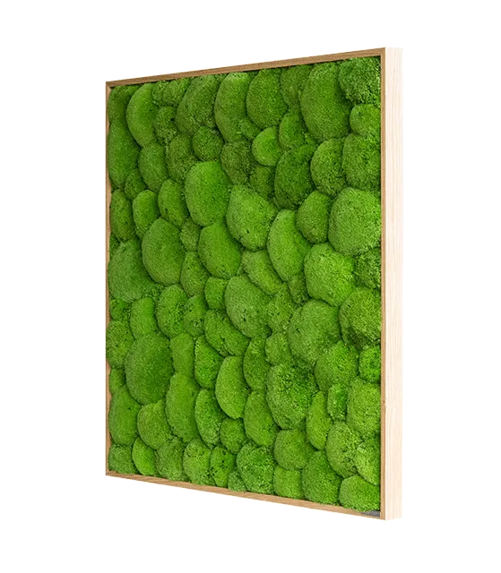 Green Square Moss Art (80cm)