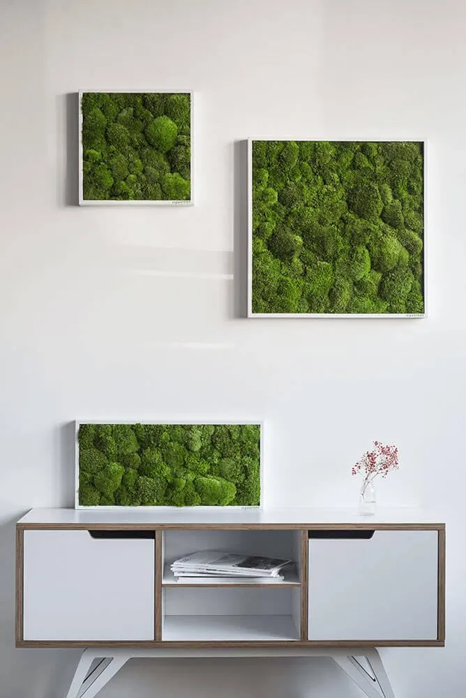 Green Square Moss Art (80cm)