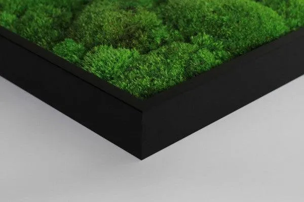 Green Square Moss Art (80cm)