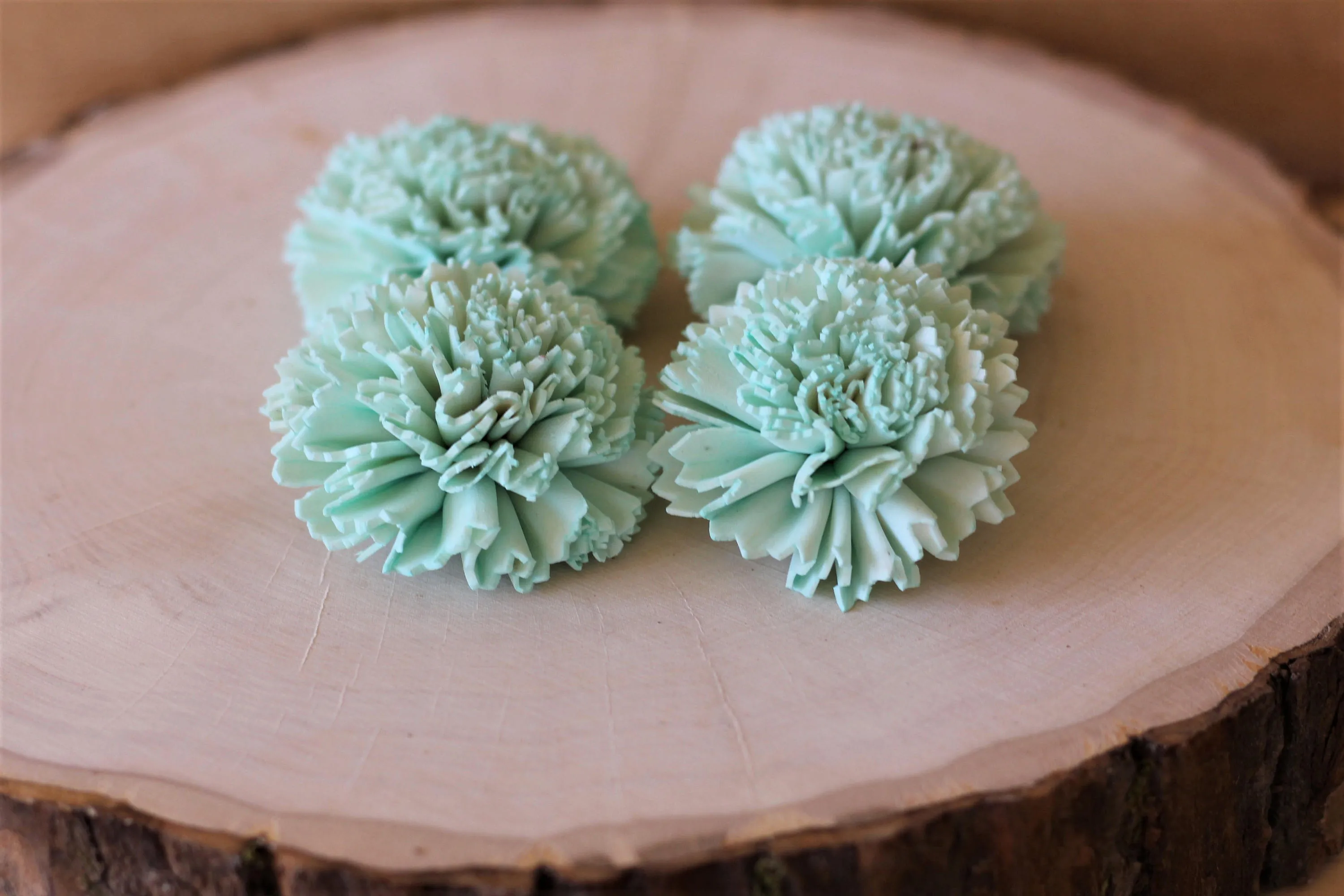 Mint Sola Wood Carnations ( Set of 12 )