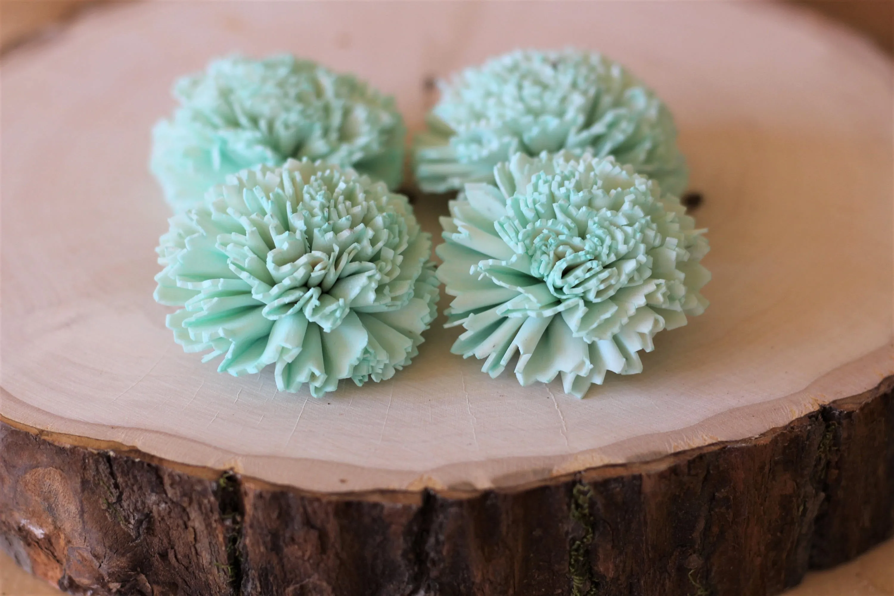 Mint Sola Wood Carnations ( Set of 12 )