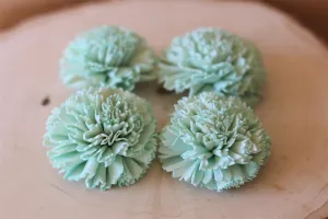 Mint Sola Wood Carnations ( Set of 12 )