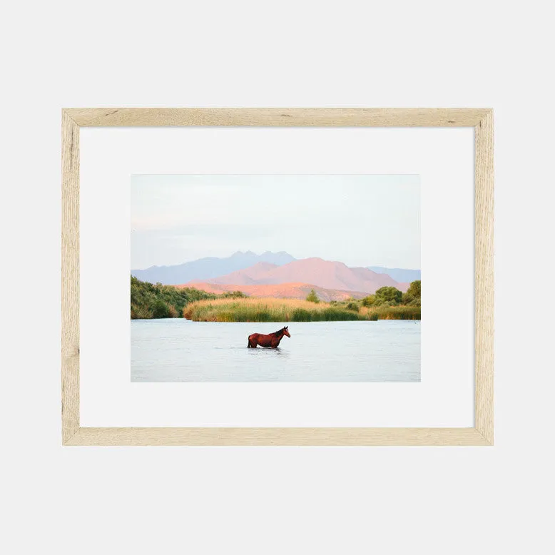 Photographic Print | A Horse With No Name II