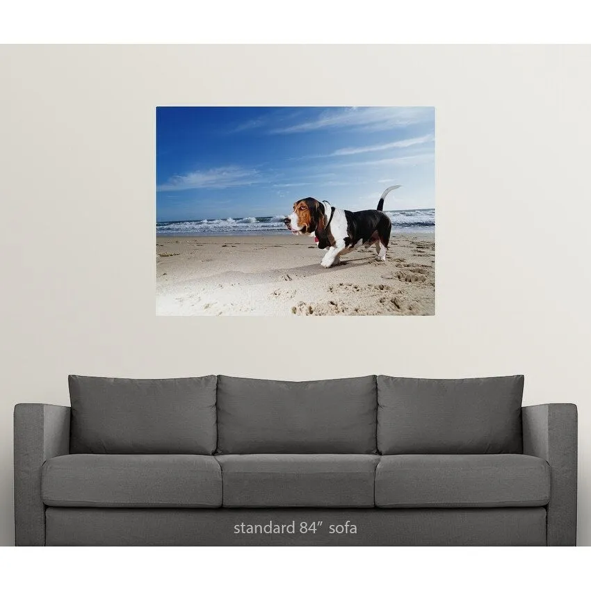 "Basset hound walking on the beach" Poster Print - Multi